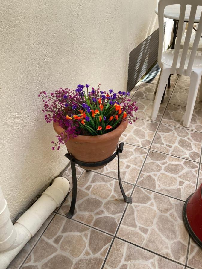 Poppys Chambres D'Hotes Ceret Exterior photo