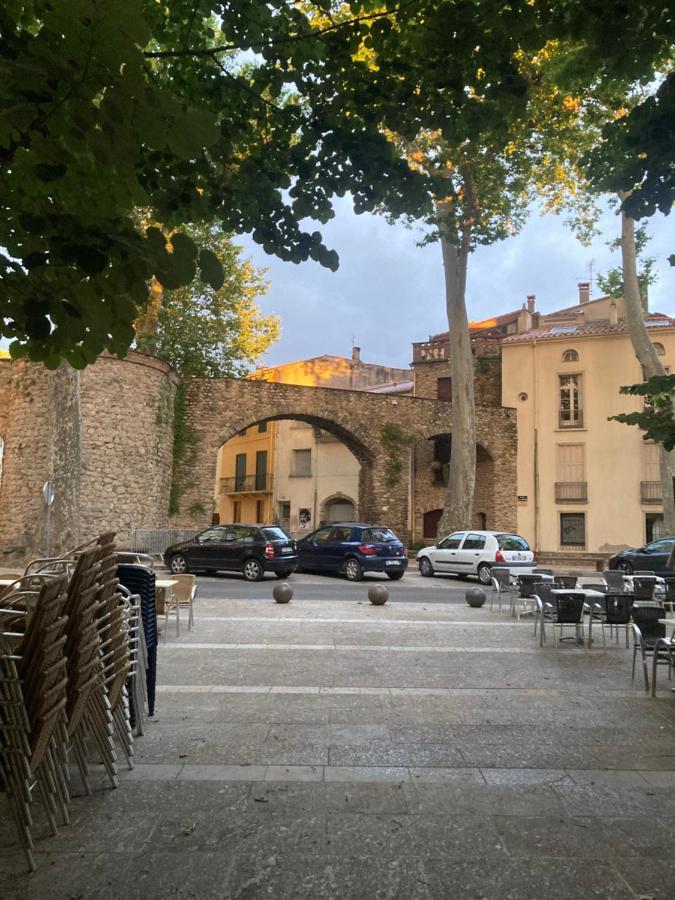 Poppys Chambres D'Hotes Ceret Exterior photo