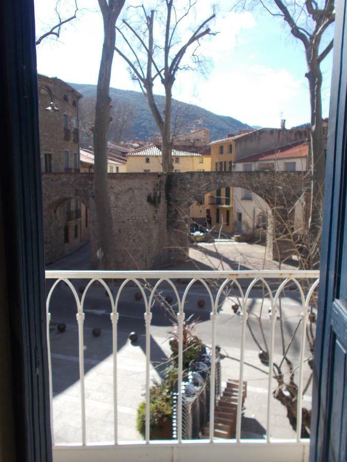 Poppys Chambres D'Hotes Ceret Exterior photo